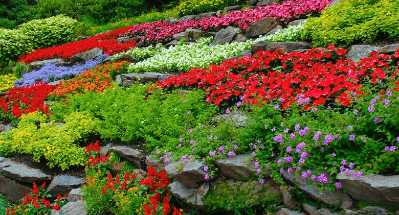 Beautiful:31mpv9buvwi= Flower Garden