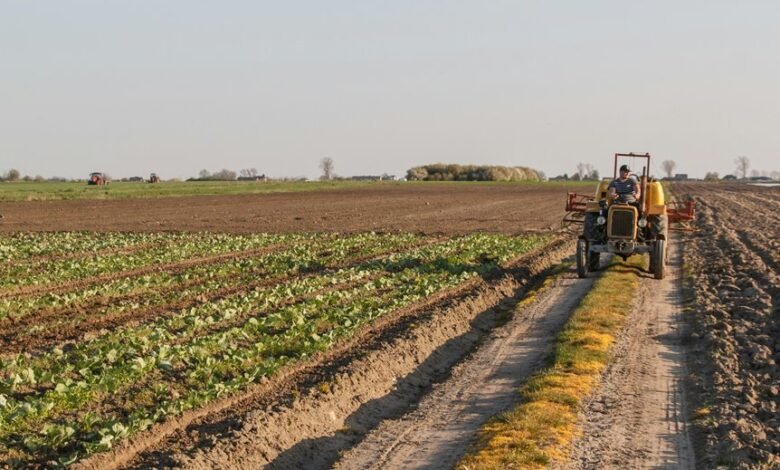 revolutionizing key sectors impact