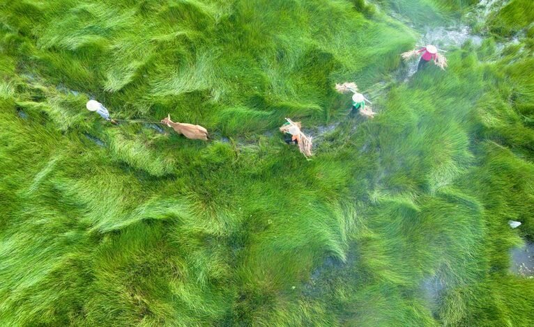 business analysis and insights