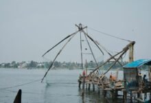 business insights for companies