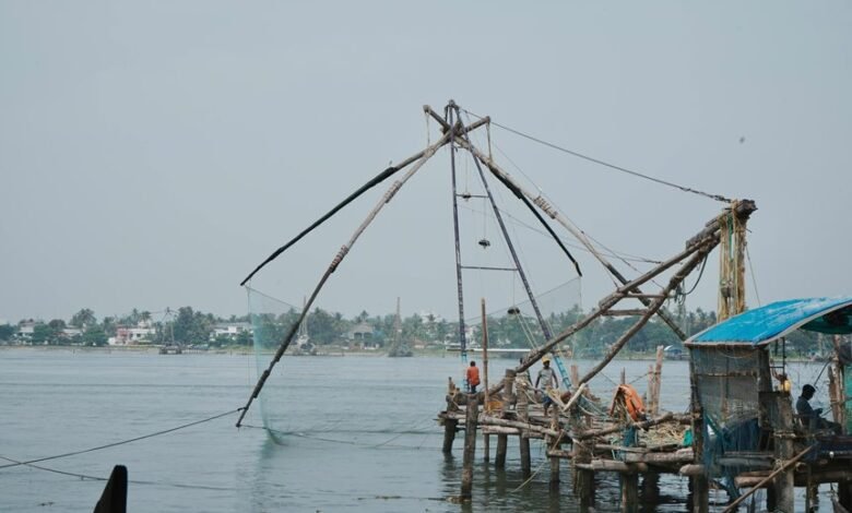 business insights for companies