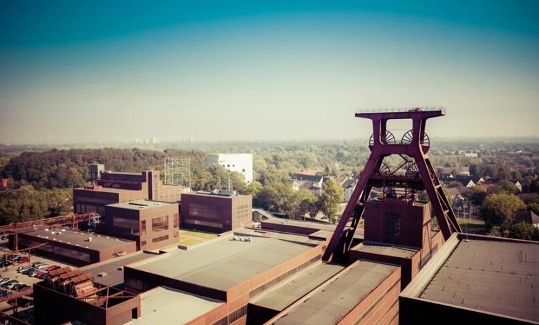 business overview and analysis