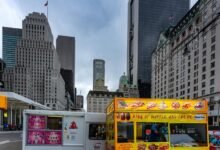 market review for products