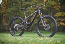 sector activity summary report