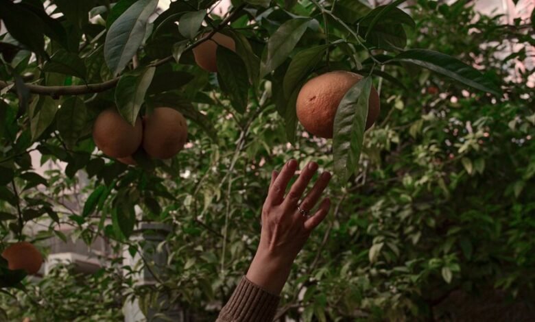 audience expansion strategies 5128425148