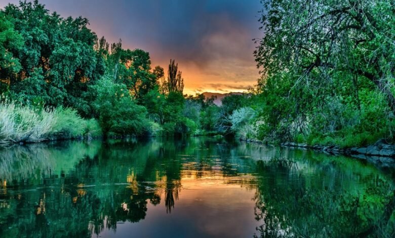 brand visibility assessment tool