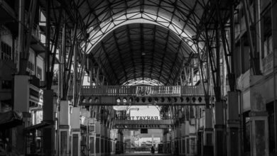 credibility in market trust