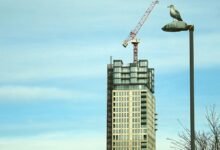 digital growth expansion tool