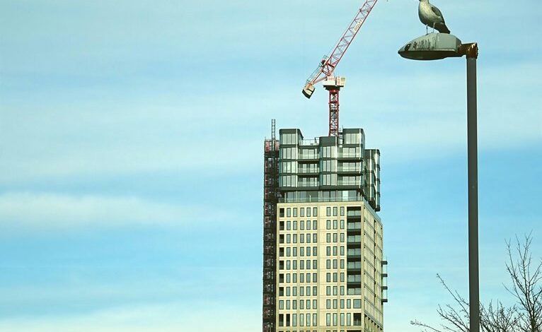 digital growth expansion tool