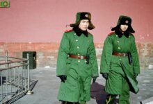 online presence authority guide