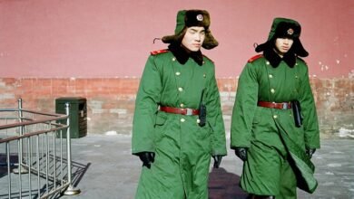 online presence authority guide