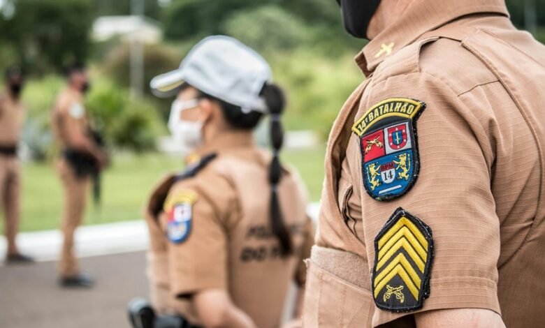 search authority rankings engine