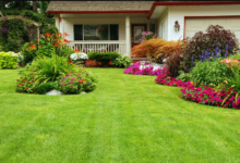 Enhance Your Landscape with Beautiful Grass Types