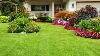Enhance Your Landscape with Beautiful Grass Types