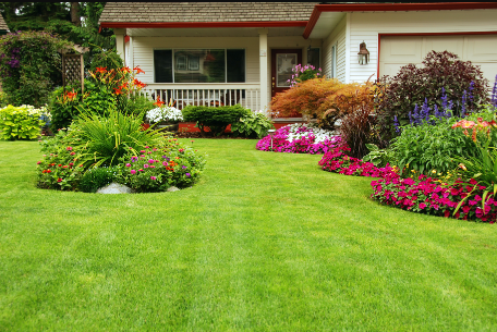 Enhance Your Landscape with Beautiful Grass Types